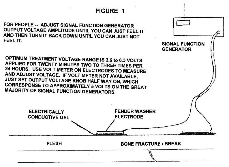 1028fig1.jpg