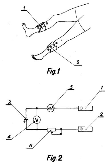 fr2306713.JPG