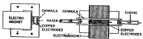 1ps3.gif