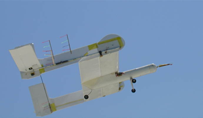 DSC09443_2.jpg