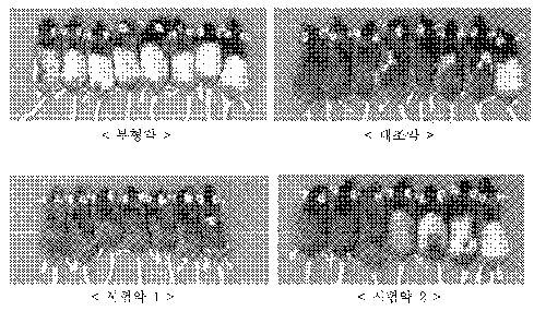 kr2013013a.jpg