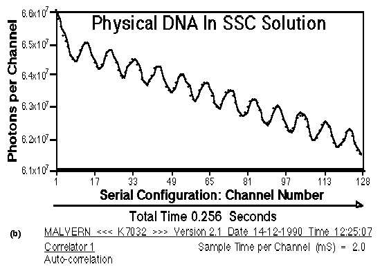 dna12.jpg