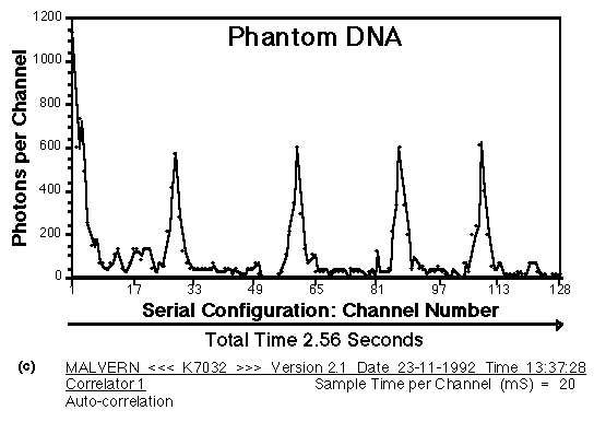 dna13.jpg