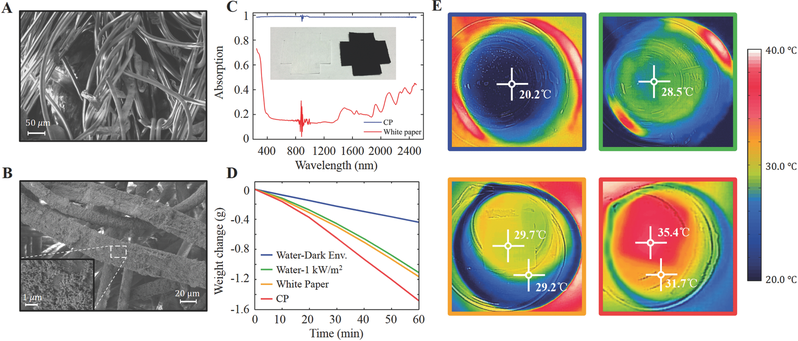 fig-0001.png