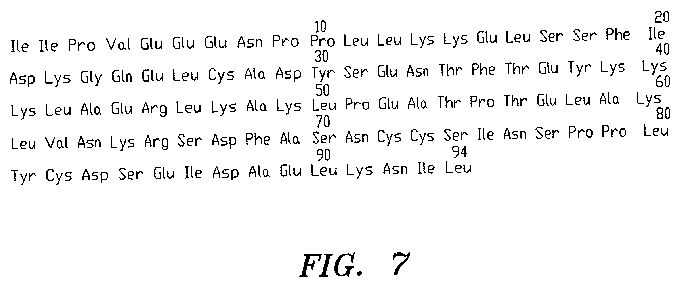 us7.jpg