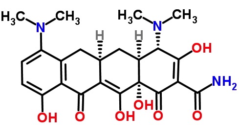 Minocycline.jpg