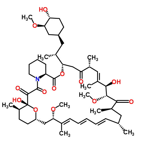 rapamycin.jpg