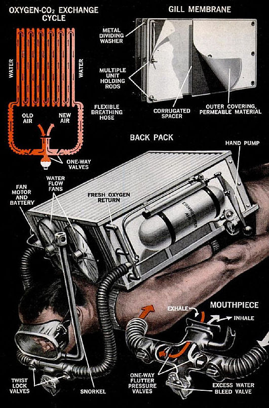 pm67b.jpg