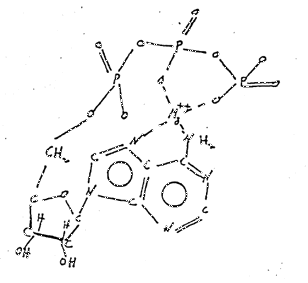 4fig1.gif