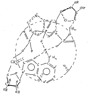 5fig1.gif