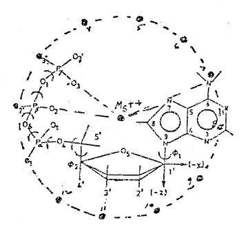 6fig1.gif