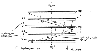 7fig1.gif