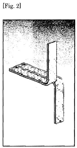 fig2.JPG
