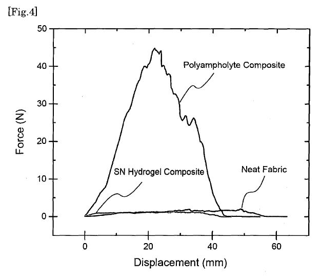 fig4.JPG