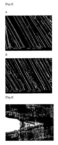 fig56.JPG