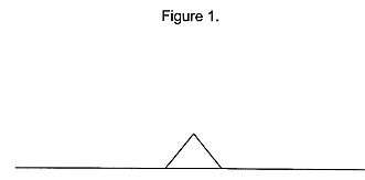 us2010a.jpg