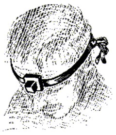 235a.jpg