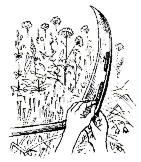 237b.jpg