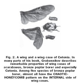 fig2.jpg