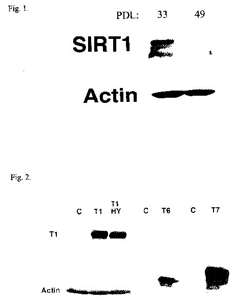 us2005a.jpg