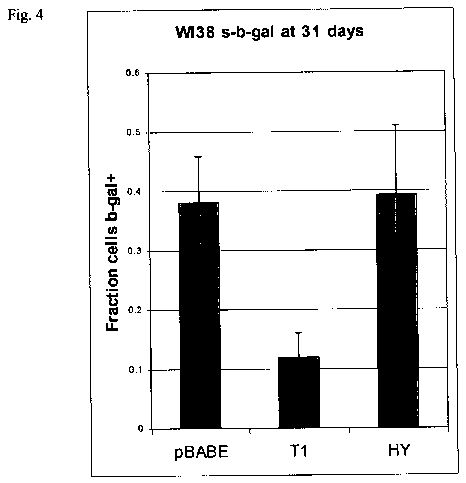 us2005abc.jpg