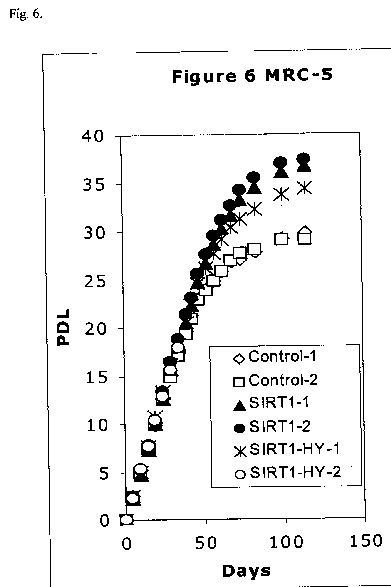 us2005abcde.jpg