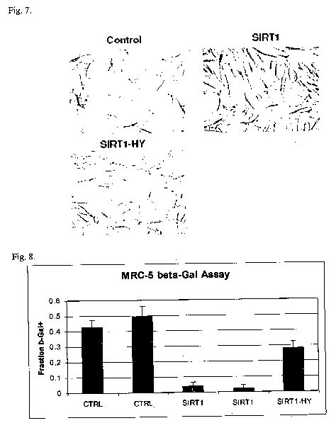 us2005abcdef.jpg