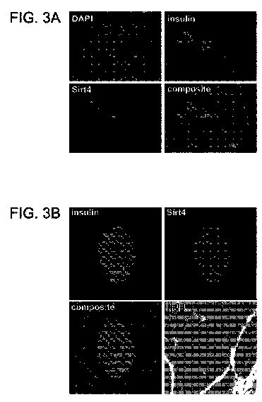 us854abc.jpg