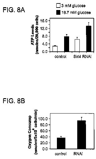 us854efgh.jpg