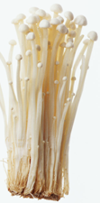 Enokitakemushroom.png