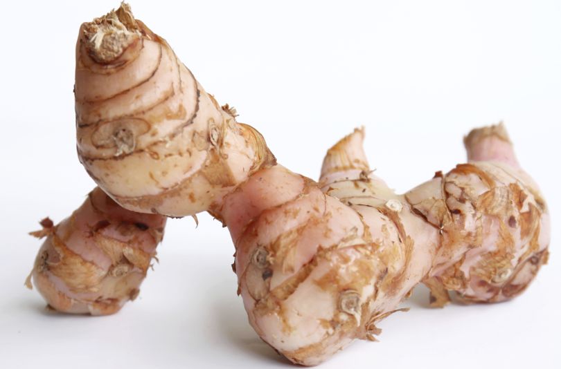 galangalginger.jpg