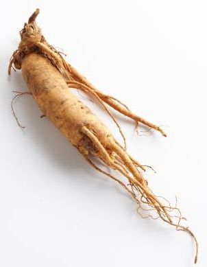 ginseng2.jpg