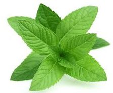 mint.jpg