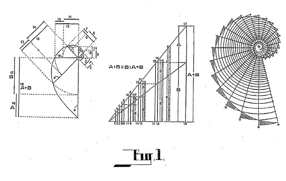 us2008265101-fig1.jpg