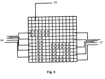 fig5.jpg