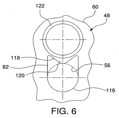 fig6.jpg