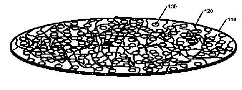 fig1.jpg