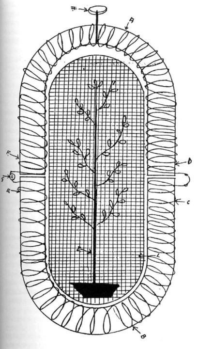 plantgro.jpg