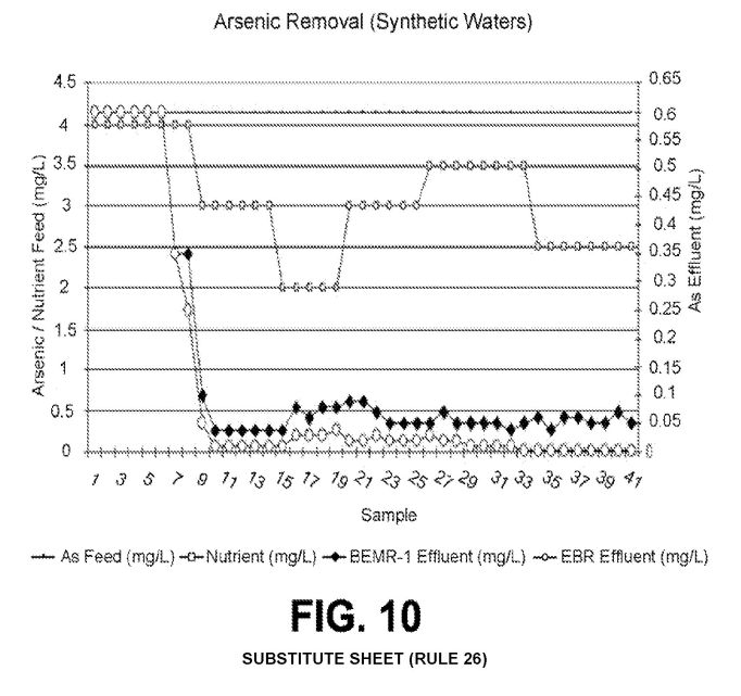 fig10.jpg