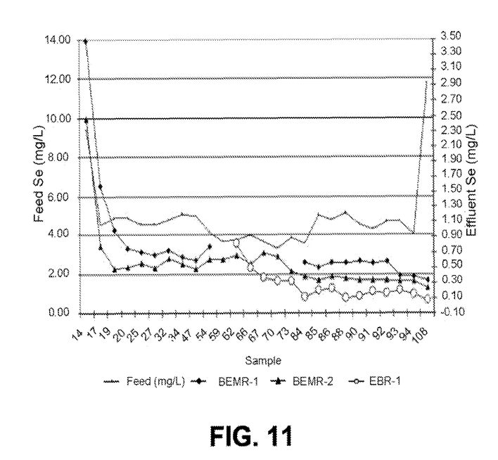 fig11.jpg