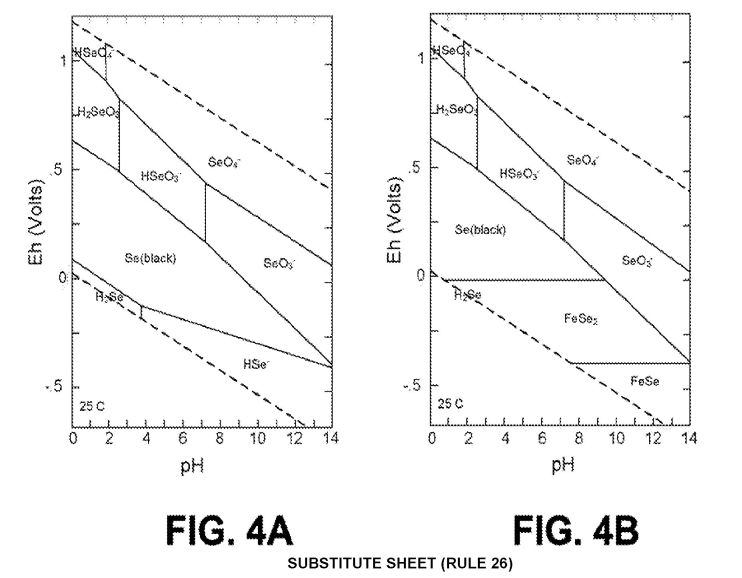 fig4.jpg