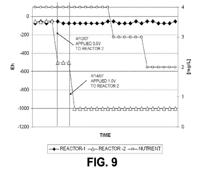 fig9.jpg