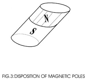 fig3.jpg
