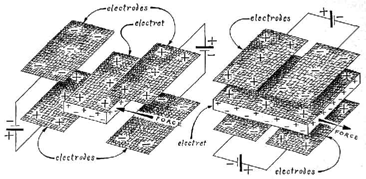 197404.jpg