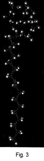us2006110418c.JPG