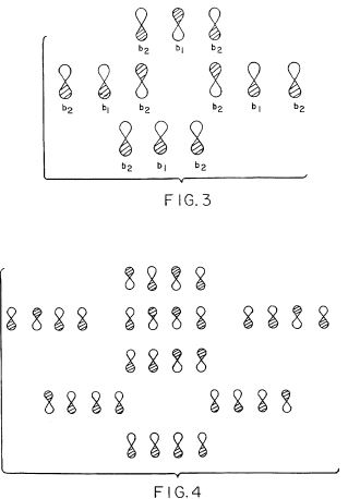 us5800576b.JPG