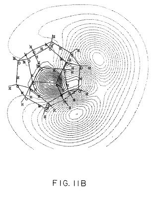 us5800576i.JPG
