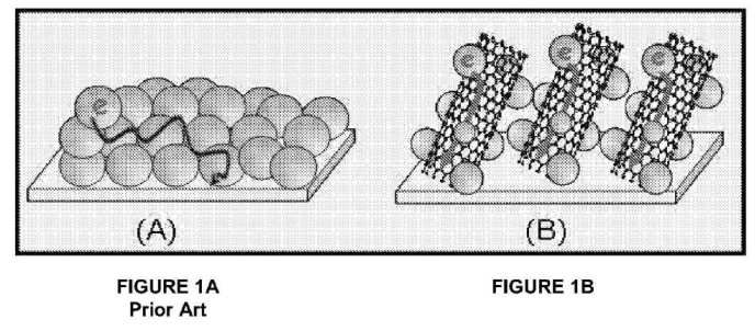 fig1.jpg