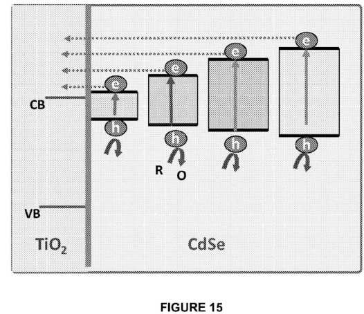 fig15.jpg