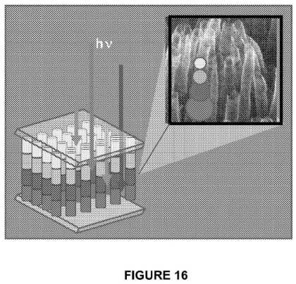 fig16.jpg